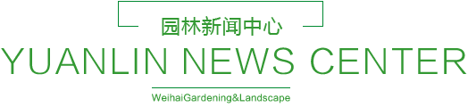 indexpng01