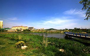 ylgc