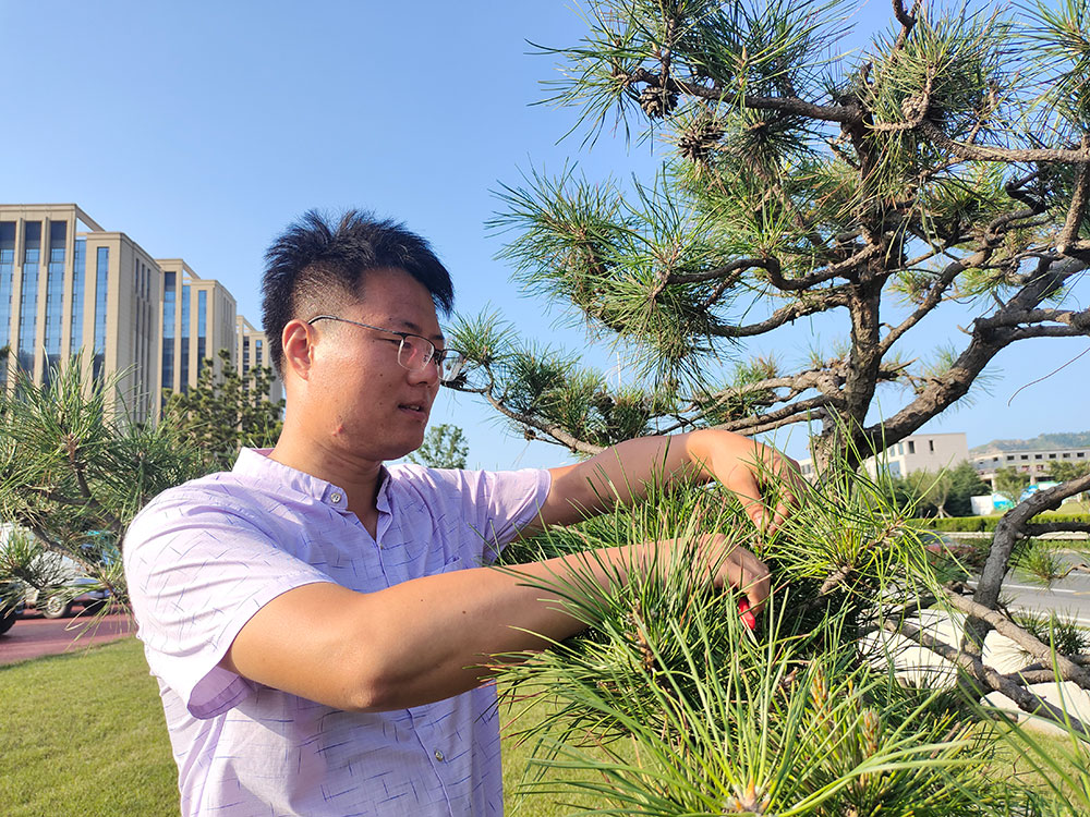 liufeng